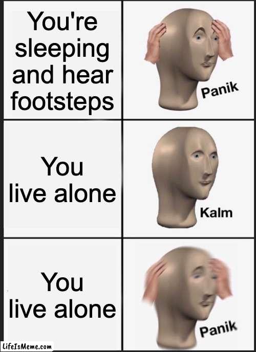 Oh mah gah bro | You're sleeping and hear footsteps; You live alone; You live alone | image tagged in memes,panik kalm panik | made w/ Lifeismeme meme maker