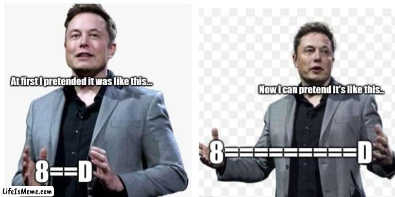 The evolution of Elon | At first I pretended it was like this... Now I can pretend it's like this.. | image tagged in funny | made w/ Lifeismeme meme maker