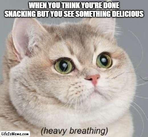 free Tarhana | WHEN YOU THINK YOU'RE DONE SNACKING BUT YOU SEE SOMETHING DELICIOUS | image tagged in memes,heavy breathing cat | made w/ Lifeismeme meme maker