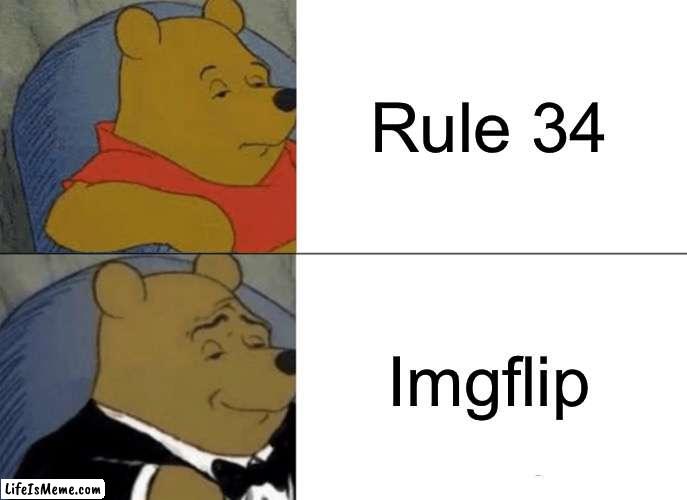 Lifeismeme swag | Rule 34; Lifeismeme | image tagged in memes,tuxedo winnie the pooh | made w/ Lifeismeme meme maker