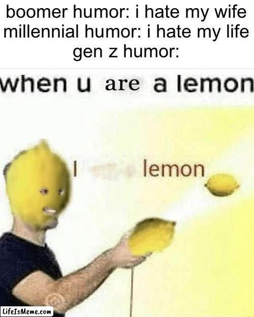 gen z humor be like: | boomer humor: i hate my wife
millennial humor: i hate my life
gen z humor: | image tagged in funny,gen z,gen z humor,memes | made w/ Lifeismeme meme maker