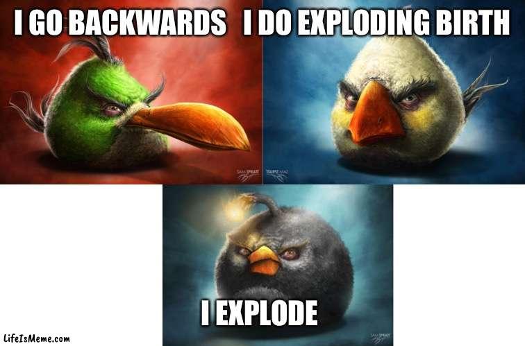 Angry Birds Realistic | I GO BACKWARDS   I DO EXPLODING BIRTH; I EXPLODE | image tagged in angry birds realistic,angry birds,realistic red angry birds,angry birds pig,gifs,memes | made w/ Lifeismeme meme maker