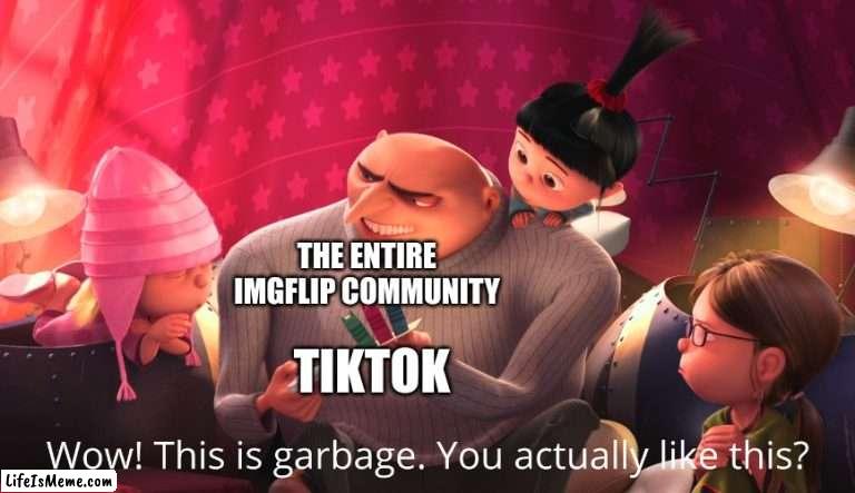 POV: you like TikTok | THE ENTIRE IMGFLIP COMMUNITY; TIKTOK | image tagged in wow this is garbage you actually like this | made w/ Lifeismeme meme maker
