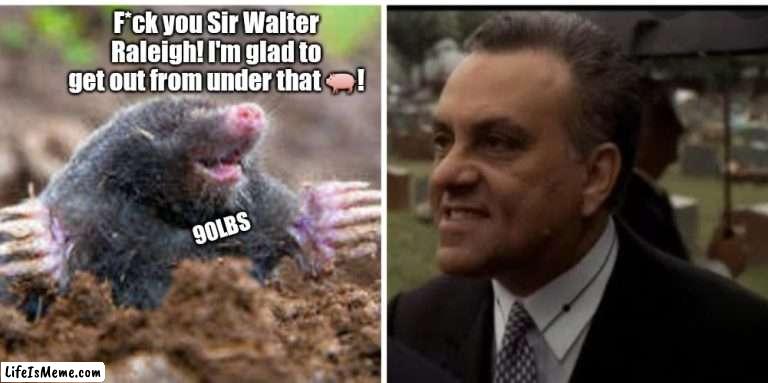 Johnny Loves Ginny | F*ck you Sir Walter Raleigh! I'm glad to get out from under that 🐖! 90LBS | image tagged in funny | made w/ Lifeismeme meme maker