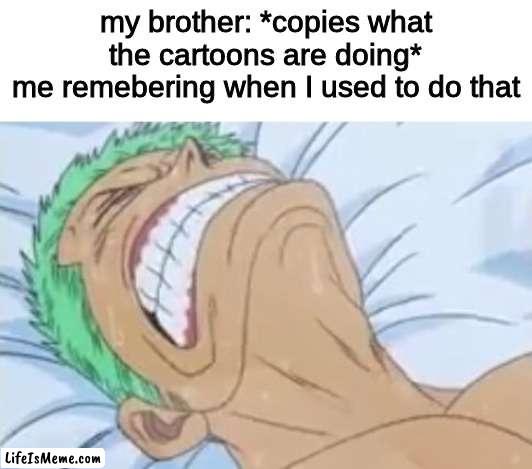 Zoro in Pain | my brother: *copies what the cartoons are doing*
me remebering when I used to do that | image tagged in zoro in pain,cringe,memes,funny | made w/ Lifeismeme meme maker