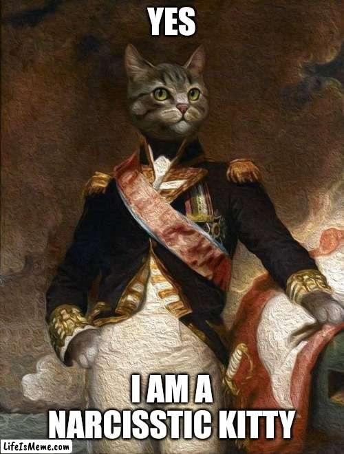 Narcisstic Kity | YES; I AM A NARCISSTIC KITTY | image tagged in relationships,psychology,relationship,i bet he's thinking about other women,men | made w/ Lifeismeme meme maker