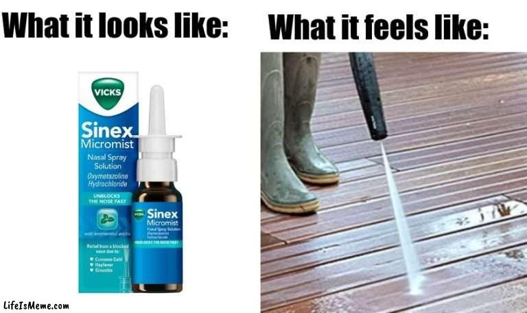 I hate these things. | What it feels like:; What it looks like: | image tagged in nose spray,memecraftia,nose,power wash,nose pain | made w/ Lifeismeme meme maker