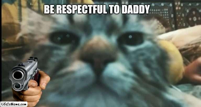 Be respectful to daddy | BE RESPECTFUL TO DADDY | image tagged in funny cat memes | made w/ Lifeismeme meme maker