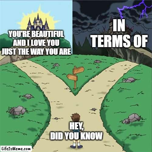 Did you know? | IN TERMS OF; YOU'RE BEAUTIFUL AND I LOVE YOU JUST THE WAY YOU ARE; HEY, DID YOU KNOW | image tagged in two paths,memes | made w/ Lifeismeme meme maker