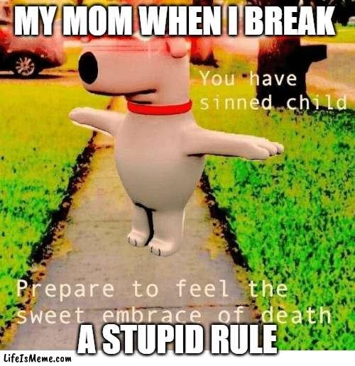 You have sinned child prepare to feel the sweet embrace of death | MY MOM WHEN I BREAK; A STUPID RULE | image tagged in you have sinned child prepare to feel the sweet embrace of death,mom | made w/ Lifeismeme meme maker