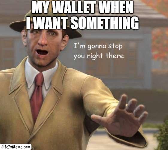 im gonna stop you right there | MY WALLET WHEN I WANT SOMETHING | image tagged in im gonna stop you right there,money,poor,wallet | made w/ Lifeismeme meme maker