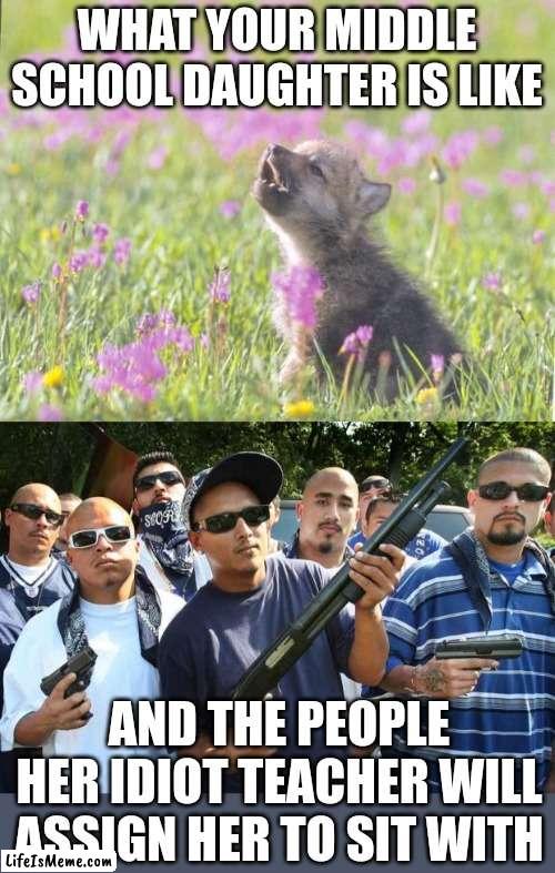 I love it when teachers sit good kids next to violent sociopaths. Because that always turns out good for the smart kids right? | WHAT YOUR MIDDLE SCHOOL DAUGHTER IS LIKE; AND THE PEOPLE HER IDIOT TEACHER WILL ASSIGN HER TO SIT WITH | image tagged in baby insanity wolf,mexican gang,teachers,stupid people,expectations,not my problem | made w/ Lifeismeme meme maker