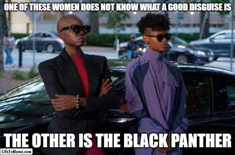 Blending in fail | ONE OF THESE WOMEN DOES NOT KNOW WHAT A GOOD DISGUISE IS; THE OTHER IS THE BLACK PANTHER | image tagged in black panther,memes | made w/ Lifeismeme meme maker