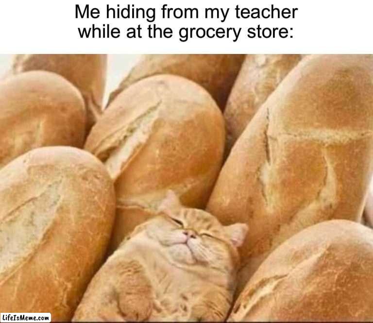 Not wrong | Me hiding from my teacher while at the grocery store: | image tagged in memes,funny,cats,relatable memes,school,true story | made w/ Lifeismeme meme maker