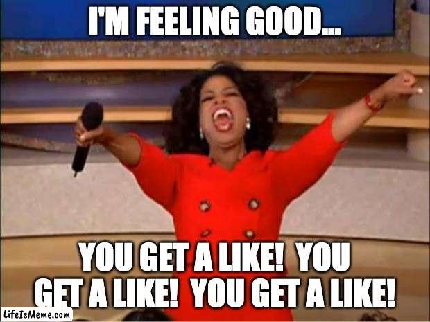 You get likes! | I'M FEELING GOOD... YOU GET A LIKE!  YOU GET A LIKE!  YOU GET A LIKE! | image tagged in memes,oprah you get a | made w/ Lifeismeme meme maker