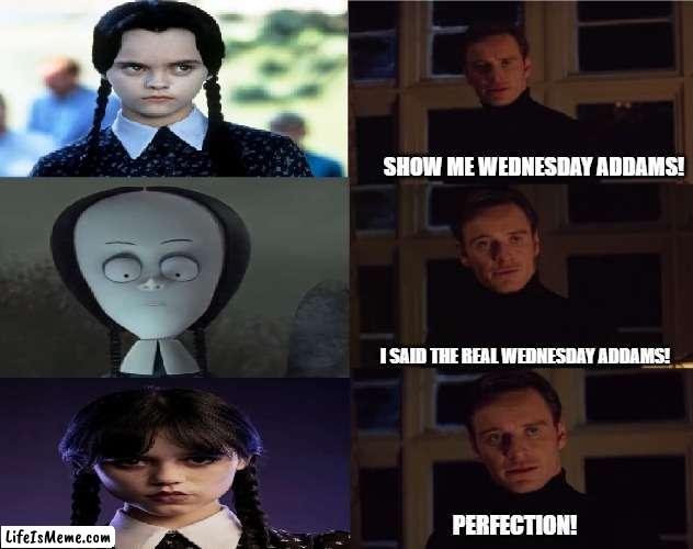 The REAL Wednesday Addams | SHOW ME WEDNESDAY ADDAMS! I SAID THE REAL WEDNESDAY ADDAMS! PERFECTION! | image tagged in perfection,wednesday addams | made w/ Lifeismeme meme maker