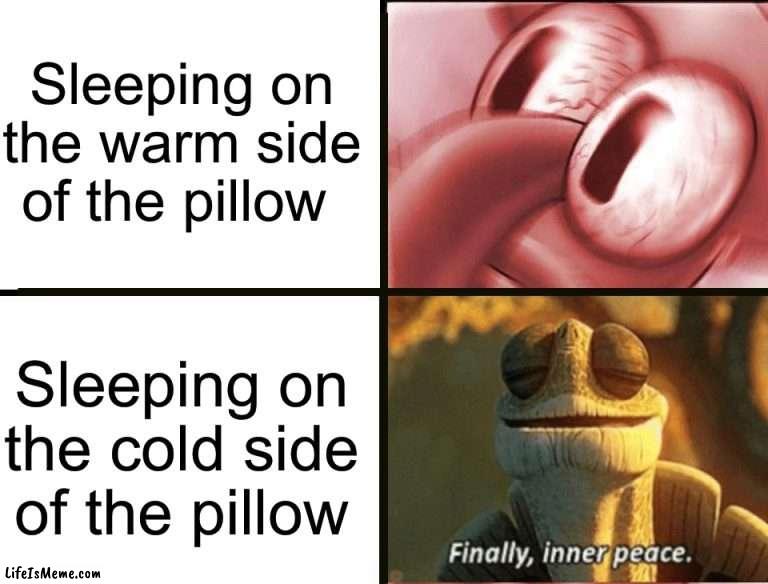 I literally can not fall asleep in a warm bed, it’s very strange | Sleeping on the warm side of the pillow; Sleeping on the cold side of the pillow | image tagged in memes,funny,true story,relatable memes,sleeping,finally inner peace | made w/ Lifeismeme meme maker