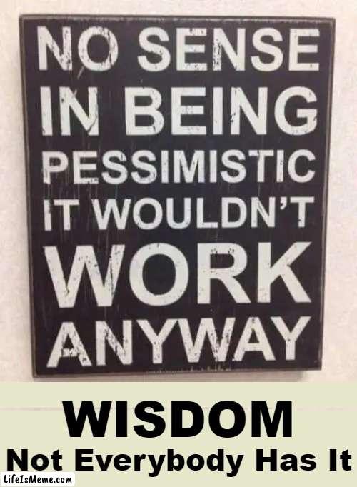 The optimist invents the airplane, the pessimist the parachute. | WISDOM; Not Everybody Has It | image tagged in fun,funny because it's true,the truth,optimist,pessimist,imgflip humor | made w/ Lifeismeme meme maker