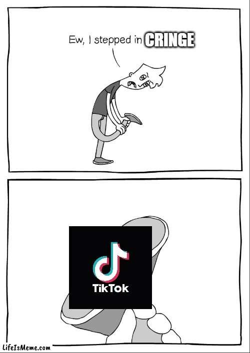 My opinion is right | CRINGE | image tagged in ew i stepped in cringe,memes,tik tok sucks | made w/ Lifeismeme meme maker