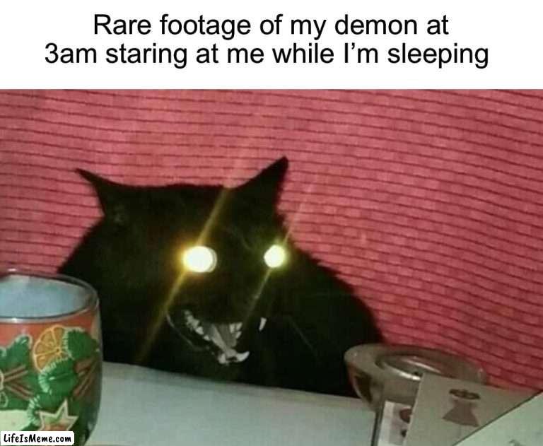 STOP WATCHING ME HEUSHJSNQJJWNDKMDKJI | Rare footage of my demon at 3am staring at me while I’m sleeping | image tagged in memes,funny,cats,demon,relatable memes,true story | made w/ Lifeismeme meme maker