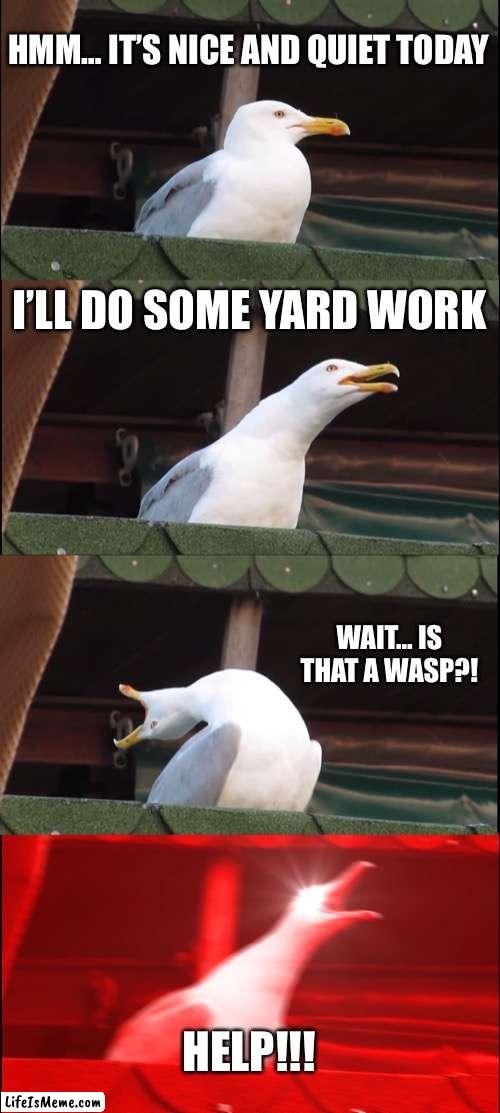 When a wasp shows up… | HMM… IT’S NICE AND QUIET TODAY; I’LL DO SOME YARD WORK; WAIT… IS THAT A WASP?! HELP!!! | image tagged in memes,inhaling seagull,wasp | made w/ Lifeismeme meme maker