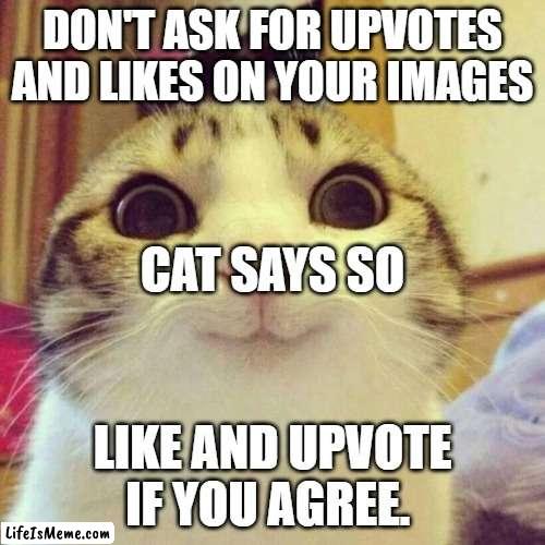 HEHHEHEHEHHEHEHE | DON'T ASK FOR UPVOTES AND LIKES ON YOUR IMAGES; CAT SAYS SO; LIKE AND UPVOTE IF YOU AGREE. | image tagged in memes,smiling cat | made w/ Lifeismeme meme maker