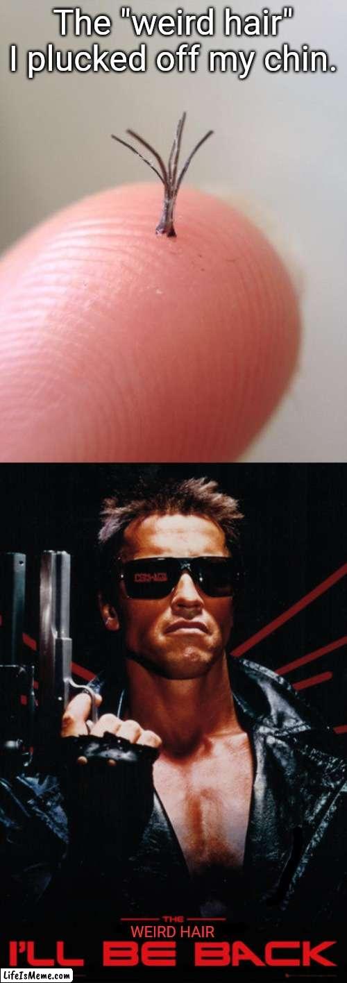 Weird hairs | The "weird hair" I plucked off my chin. WEIRD HAIR | image tagged in weird | made w/ Lifeismeme meme maker