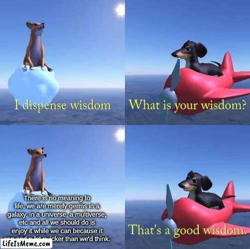 Yes, I know I've solved philosophy and the meaning of life. | There is no meaning to life, we are merely germs in a galaxy, in a universe, a multiverse, etc and all we should do is enjoy it while we can because it can end a lot quicker than we'd think. | image tagged in wisdom dog,philosophy,the meaning of life | made w/ Lifeismeme meme maker