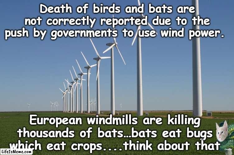 Windmills kill bats and birds | Death of birds and bats are not correctly reported due to the push by governments to use wind power. European windmills are killing thousands of bats…bats eat bugs which eat crops....think about that | image tagged in windmill,birds,bats,crops,wind power,cover up | made w/ Lifeismeme meme maker