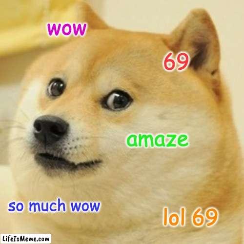 Every single 4/5th grader ever: | wow; 69; amaze; so much wow; lol 69 | image tagged in memes,doge | made w/ Lifeismeme meme maker