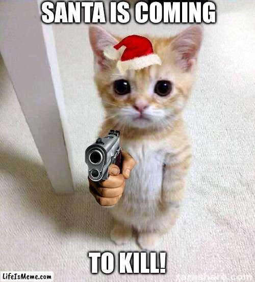 Santa cat | SANTA IS COMING; TO KILL! | image tagged in memes,cute cat | made w/ Lifeismeme meme maker