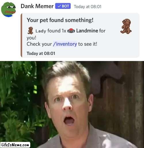 The Decland Donnelly template is new. I made it myself. | image tagged in i'm a celebrity get me out of here,i'm a celeb,dec,decland donnelly,discord,dank memer | made w/ Lifeismeme meme maker