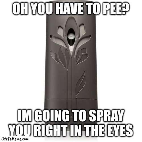 Air Wick assault | OH YOU HAVE TO PEE? IM GOING TO SPRAY YOU RIGHT IN THE EYES | image tagged in air freshener,air wick,assault,pee,crazy girlfriend,my eyes | made w/ Lifeismeme meme maker