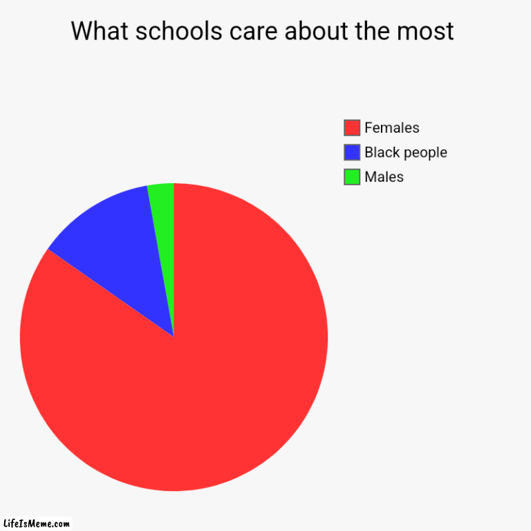 What schools care about the most | What schools care about the most | Males, Black people, Females | image tagged in charts,pie charts,schools | made w/ Lifeismeme chart maker