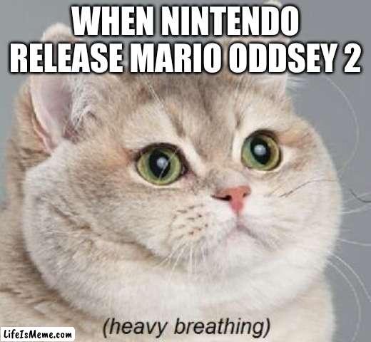 Please nintendo | WHEN NINTENDO RELEASE MARIO ODDSEY 2 | image tagged in memes,heavy breathing cat | made w/ Lifeismeme meme maker