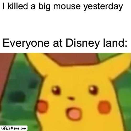 Sorry kids | I killed a big mouse yesterday; Everyone at Disney land: | image tagged in memes,surprised pikachu | made w/ Lifeismeme meme maker