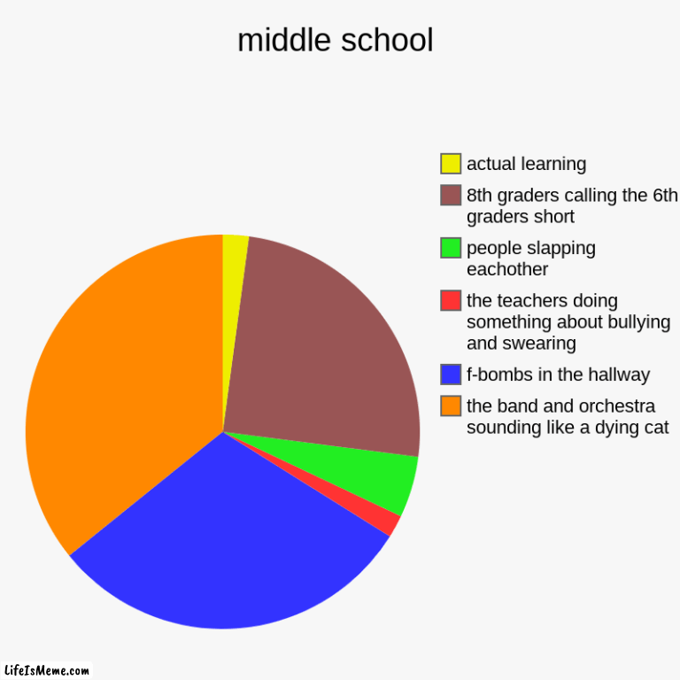middle school based on actual experiencee | middle school | the band and orchestra sounding like a dying cat, f-bombs in the hallway , the teachers doing something about bullying and s | image tagged in charts,pie charts | made w/ Lifeismeme chart maker