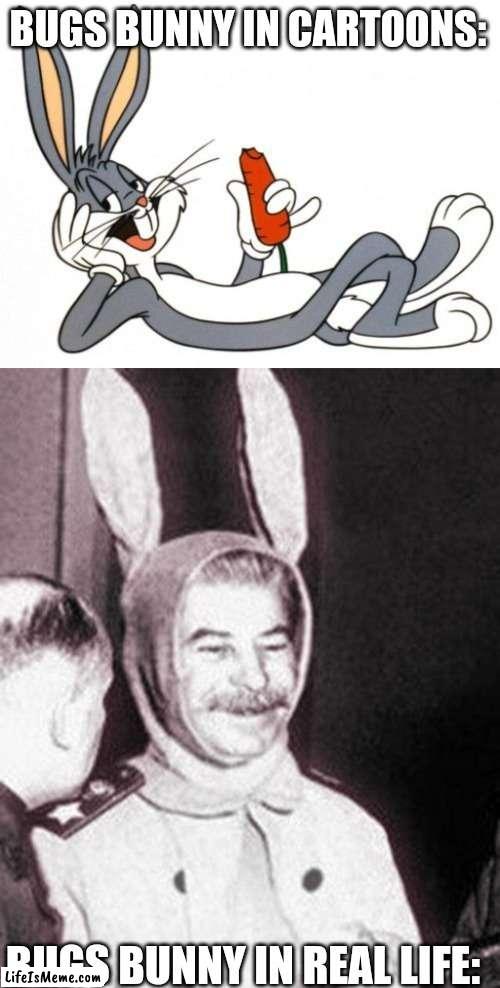 Bugs bunny and papa Stalin bunny | BUGS BUNNY IN CARTOONS:; BUGS BUNNY IN REAL LIFE: | image tagged in stalin bunny,looney tunes,bugs bunny,joseph stalin,gulag,soviet union | made w/ Lifeismeme meme maker
