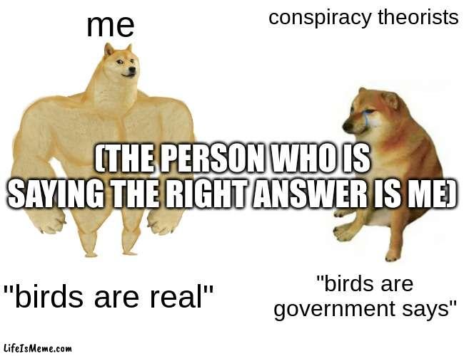 birds are real | me; conspiracy theorists; (THE PERSON WHO IS SAYING THE RIGHT ANSWER IS ME); "birds are real"; "birds are government says" | image tagged in memes,buff doge vs cheems | made w/ Lifeismeme meme maker