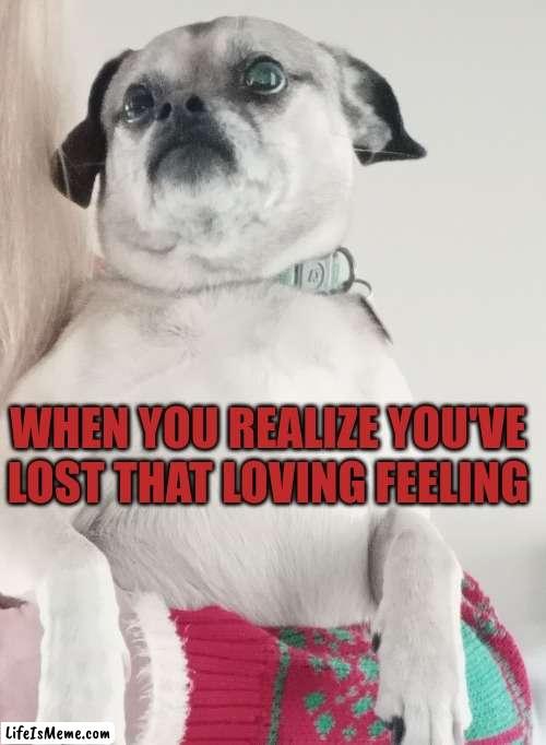 Love Lost | WHEN YOU REALIZE YOU'VE LOST THAT LOVING FEELING | image tagged in love | made w/ Lifeismeme meme maker