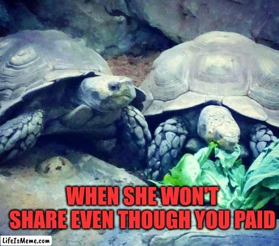 Dating woes | WHEN SHE WON'T SHARE EVEN THOUGH YOU PAID | image tagged in dating | made w/ Lifeismeme meme maker
