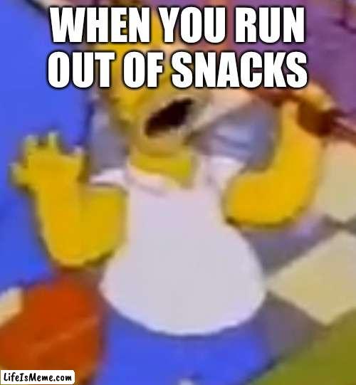 Noooooooooo | WHEN YOU RUN OUT OF SNACKS | image tagged in the simpsons | made w/ Lifeismeme meme maker