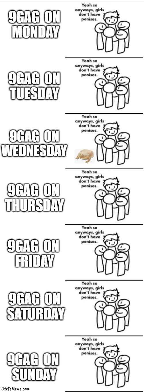 9gag Every dag of the week | 9GAG  ON
 MONDAY; 9GAG  ON
TUESDAY; 9GAG  ON
WEDNESDAY; 9GAG  ON
 THURSDAY; 9GAG  ON
 FRIDAY; 9GAG  ON
 SATURDAY; 9GAG  ON
 SUNDAY | image tagged in woke,blm,feminism | made w/ Lifeismeme meme maker
