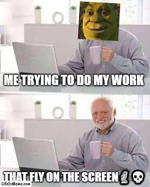 Harold hides the pain | ME TRYING TO DO MY WORK; THAT FLY ON THE SCREEN🗿💀 | image tagged in memes,hide the pain harold | made w/ Lifeismeme meme maker