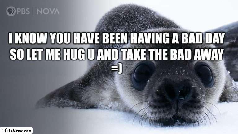 Mike The Seal, The Perfect Therapist | I KNOW YOU HAVE BEEN HAVING A BAD DAY; SO LET ME HUG U AND TAKE THE BAD AWAY
=) | image tagged in cute,fluffy,hugs | made w/ Lifeismeme meme maker