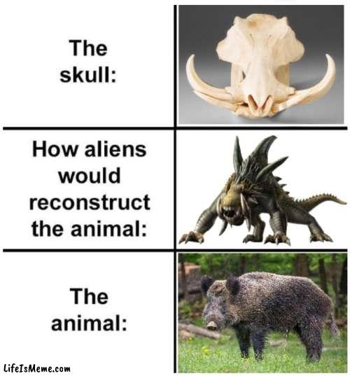 How aliens would do it | image tagged in meme | made w/ Lifeismeme meme maker