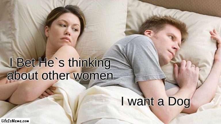 I am Back and I am Board | I Bet He`s thinking about other women; I want a Dog | image tagged in memes,i bet he's thinking about other women | made w/ Lifeismeme meme maker