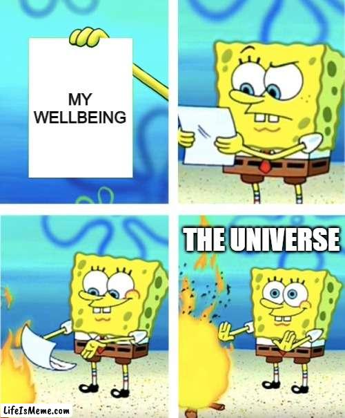 Why universe | MY WELLBEING; THE UNIVERSE | image tagged in spongebob burning paper | made w/ Lifeismeme meme maker