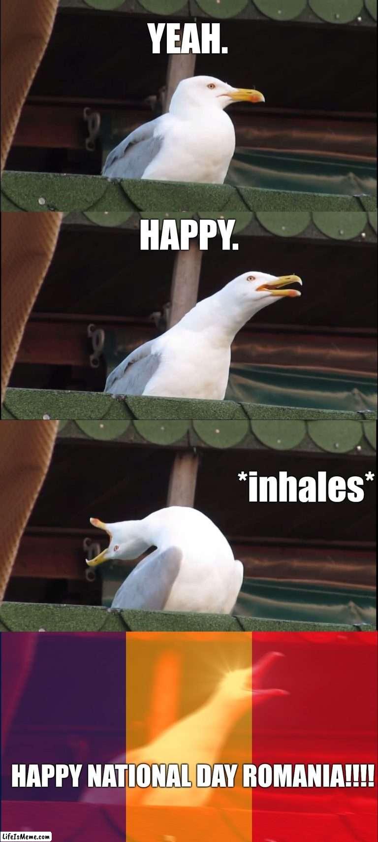 Happy 1st December, Romania | YEAH. HAPPY. *inhales*; HAPPY NATIONAL DAY ROMANIA!!!! | image tagged in memes,inhaling seagull,romania,1st december | made w/ Lifeismeme meme maker