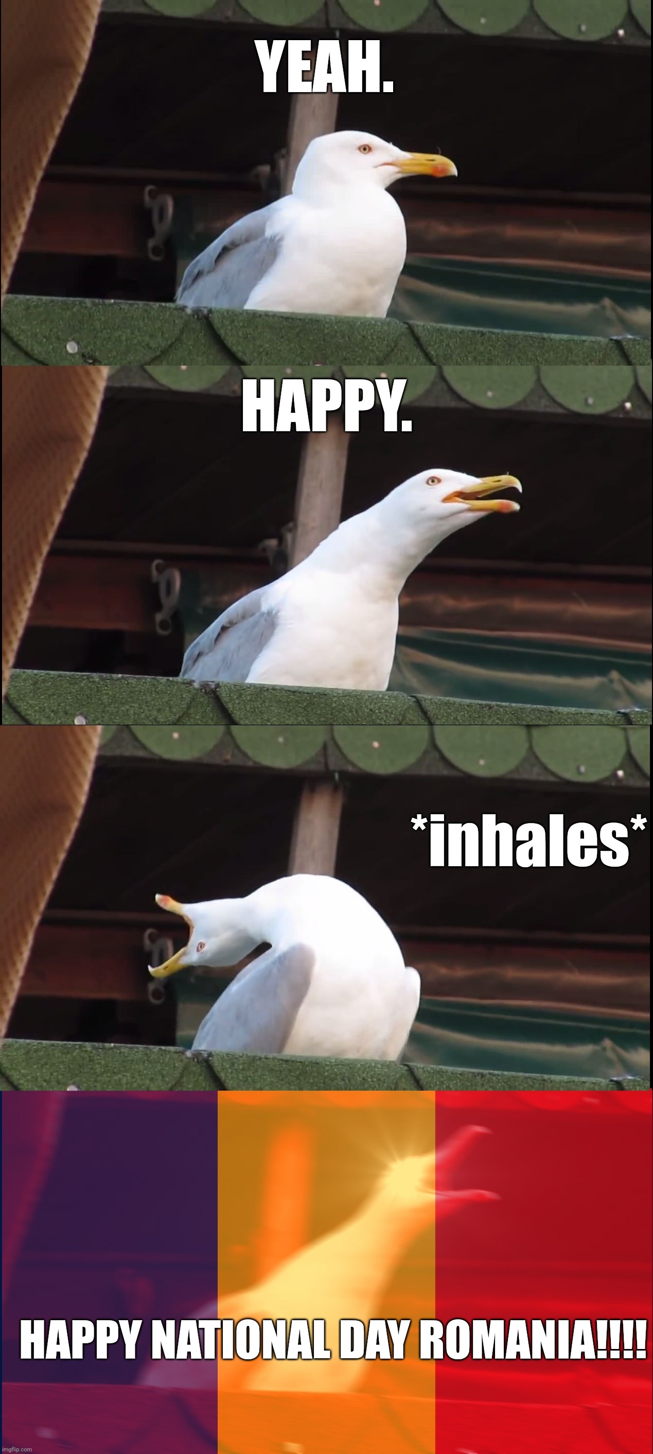Happy 1st December, Romania | YEAH. HAPPY. *inhales*; HAPPY NATIONAL DAY ROMANIA!!!! | image tagged in memes,inhaling seagull,romania,1st december | made w/ Lifeismeme meme maker